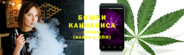 шишки Иннополис