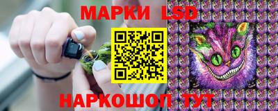 мдпв Камышлов