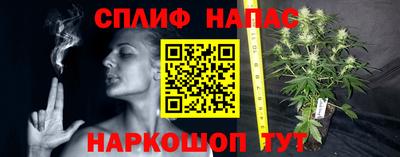 МДПВ Канаш