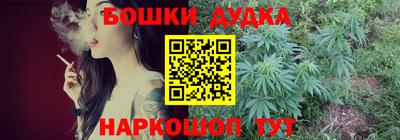 мдпв Камышлов