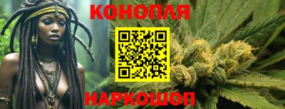 мдпв Камышлов