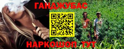 мдпв Камышлов