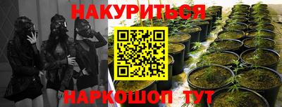 МДПВ Канаш