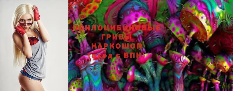 закладка  Лабытнанги  Псилоцибиновые грибы MAGIC MUSHROOMS 