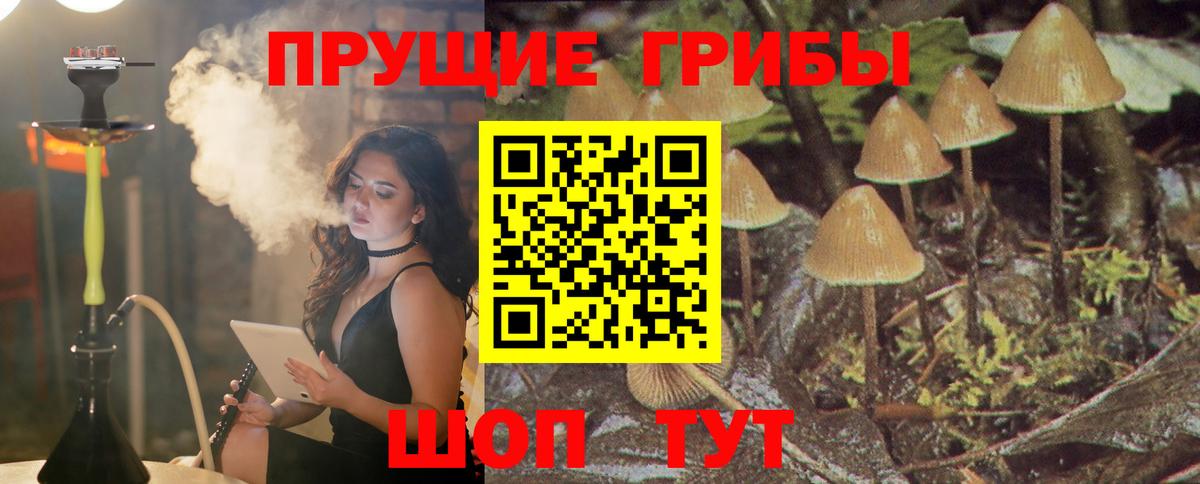 Галлюциногенные грибы мицелий  Вход с VPN  Псилоцибиновые грибы мицелий  Лабытнанги 