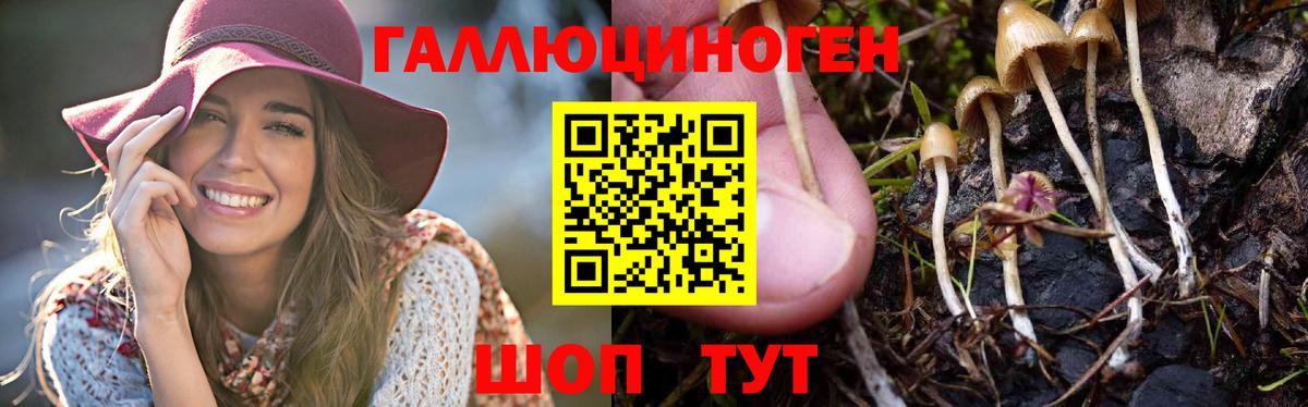 Галлюциногенные грибы Cubensis  цены наркотик  Лабытнанги 