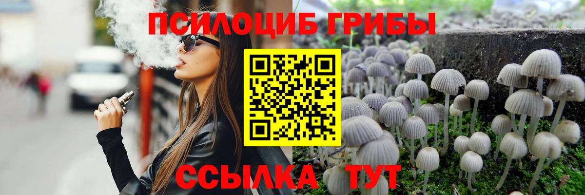 Псилоцибиновые грибы Psilocybe Лабытнанги